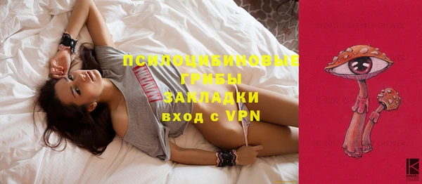 a pvp Зеленокумск