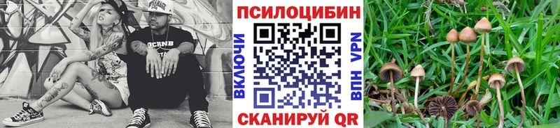 Псилоцибиновые грибы Psilocybine cubensis  Купить закладки  Беслан 